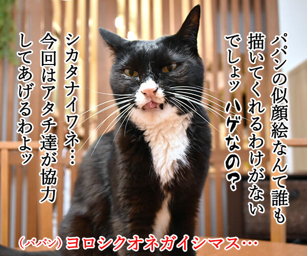 パパンの似顔絵を募集するのよッ 猫の写真で4コマ漫画 2コマ目ッ