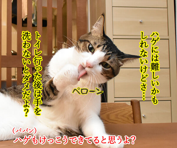 10月15日は『世界手洗いの日』なんですってッ 猫の写真で4コマ漫画 2コマ目ッ