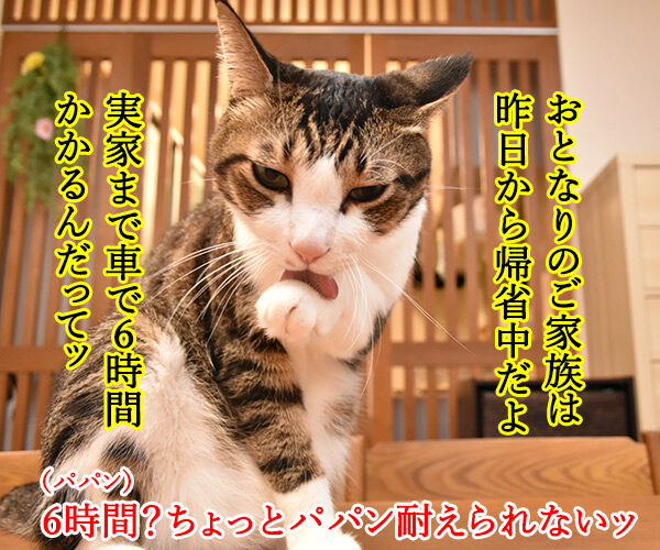 帰省ラッシュで大混雑なのッ　猫の写真で４コマ漫画　２コマ目ッ