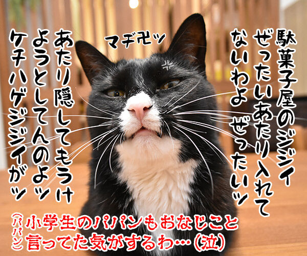 マルカワのマーブルガム 当たるのは誰かしら? ねこの写真で4コマ漫画 4コマ目ッ