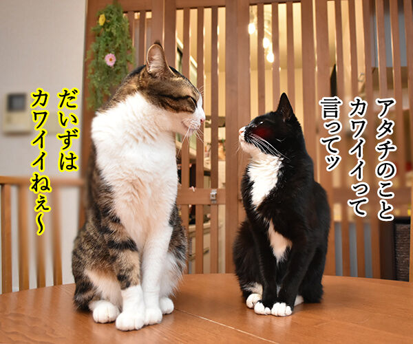もっと もっと あずきさんとだいずさん Powered By ライブドアブログ もっと もっと あずきさんとだいずさん Powered By ライブドアブログ