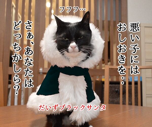 クリスマス あなたは良い子?悪い子? 猫の写真で4コマ漫画 2コマ目ッ