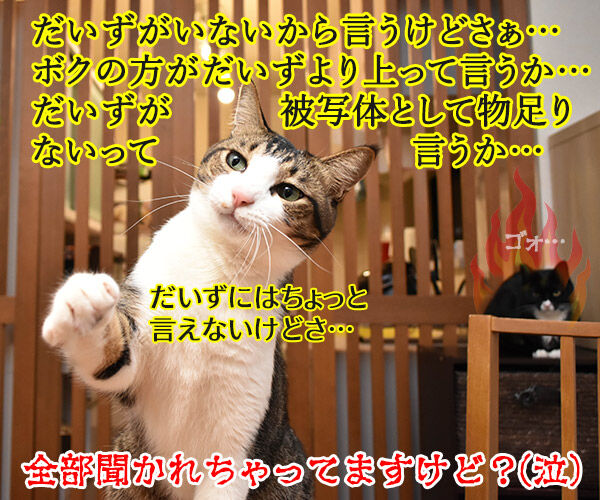 あずきさんの写真が『猫ぐらし冬号』に掲載されたのよッ 猫の写真で4コマ漫画 4コマ目ッ