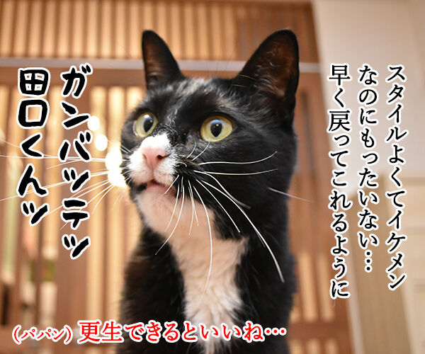 入口 出口 田口被告が土下座謝罪なのッ : あずきさんとだいずさん 
