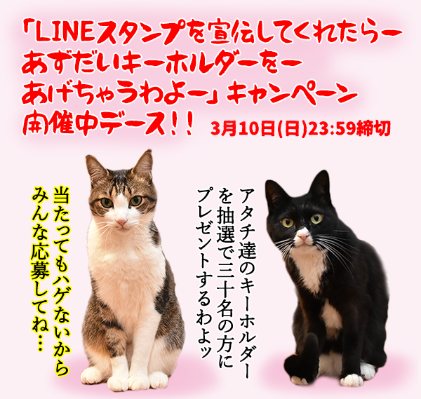 Lineスタンプを宣伝してくれたらー あずだいキーホルダーをー あげちゃうわよー キャンペーン あずきさんとだいずさん Powered By ライブドアブログ Lineスタンプを宣伝してくれたらー あずだいキーホルダーをー あげちゃうわよー キャンペーン あずきさんとだいずさん Powered By ライブドアブログ