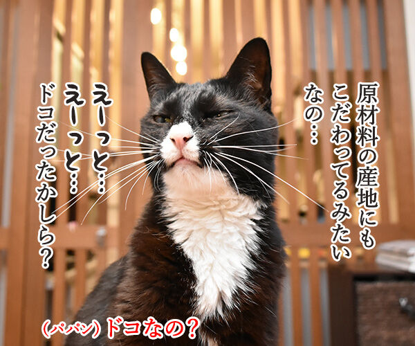 あずきを使ったスクラブがあるんですってッ 猫の写真で4コマ漫画 3コマ目ッ