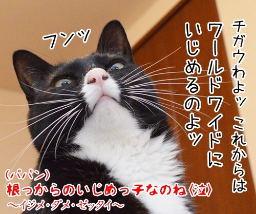 イジメ・ダメ・ゼッタイ 猫の写真で4コマ漫画 4コマ目ッ