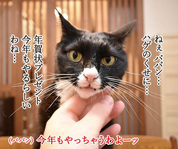 今年もあずだい年賀状を送っちゃうわよーッ　猫の写真で４コマ漫画　１コマ目ッ