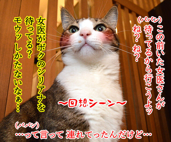 ウンチョスの経過報告に病院に行った時のはなし 猫の写真で4コマ漫画 3コマ目ッ