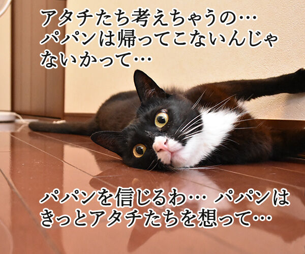 泣けちゃう漫画 おじさまと猫 って知ってる あずきさんとだいずさん Powered By ライブドアブログ 泣けちゃう漫画 おじさまと猫 って知ってる あずきさんとだいずさん Powered By ライブドアブログ