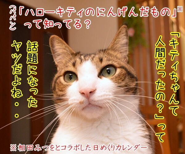 キティちゃんて人間だったのー あずきさんとだいずさん Powered By ライブドアブログ