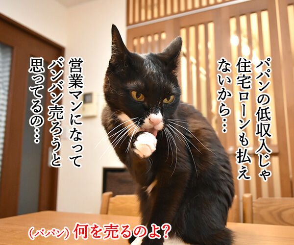 『ニャにもん』で猫の名刺データが作れるのよッ 猫の写真で4コマ漫画 3コマ目ッ