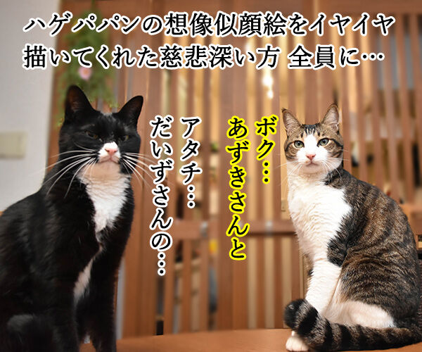 パパンの似顔絵を募集するのよッ 猫の写真で4コマ漫画 3コマ目ッ