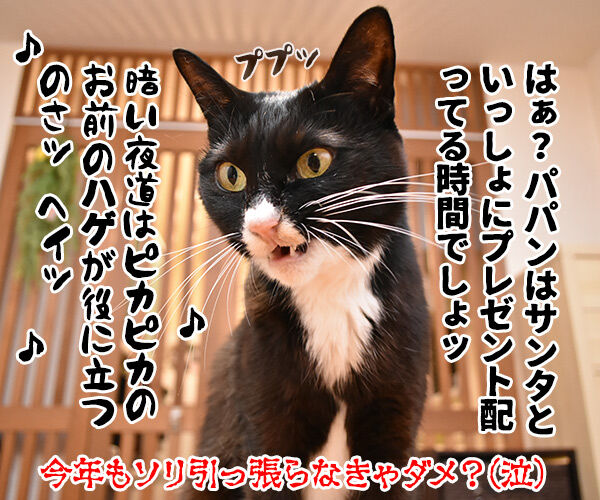 イブの夜10時は心筋梗塞の発作ピークなんですってッ あずきさんとだいずさん Powered By ライブドアブログ イブの夜10時は心筋梗塞の発作ピークなんですってッ あずきさんとだいずさん Powered By ライブドアブログ