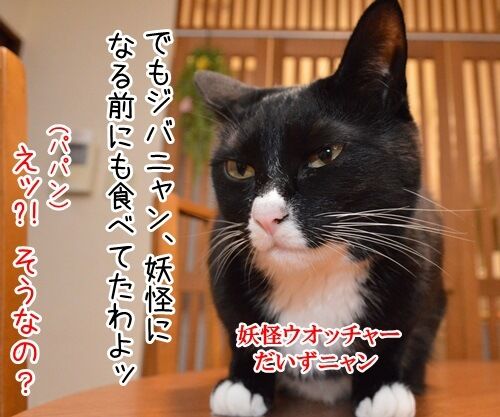 ジバニャンのチョコボー 猫の写真で4コマ漫画 3コマ目ッ
