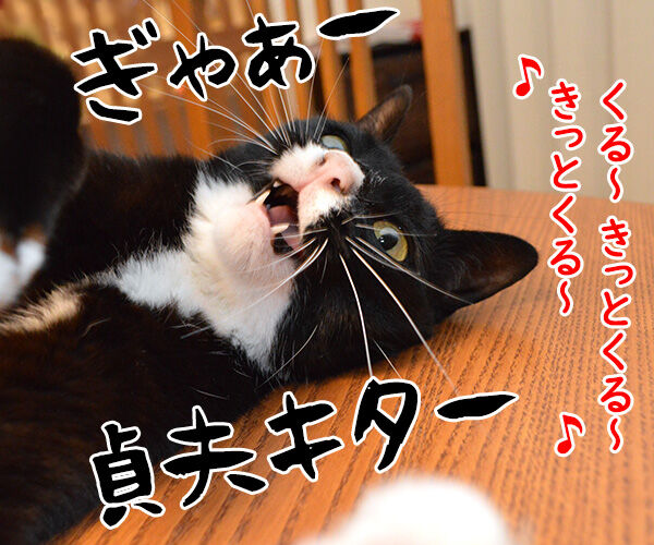 夏はホラーで涼しくなるのッ あずきさんとだいずさん Powered By ライブドアブログ 夏はホラーで涼しくなるのッ あずきさんとだいずさん Powered By ライブドアブログ