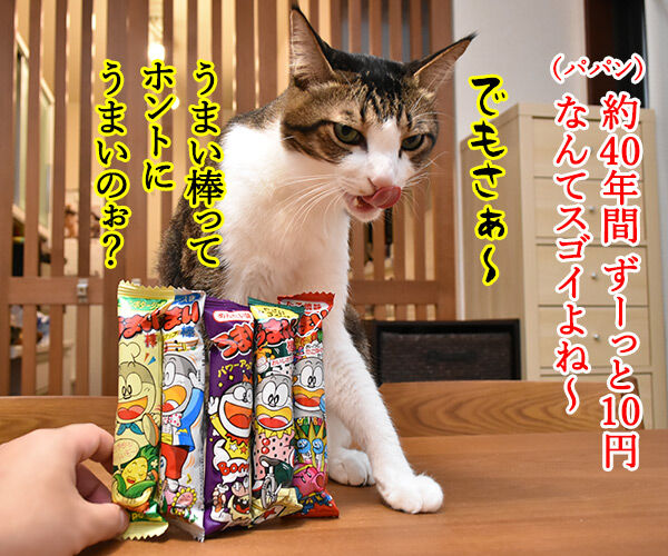 うまい棒はホントにうまいの? ねこの写真で4コマ漫画 2コマ目ッ
