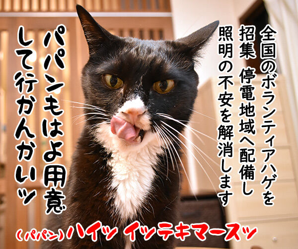 北海道胆振東部地震 心よりお見舞い申し上げます 猫の写真で4コマ漫画 4コマ目ッ