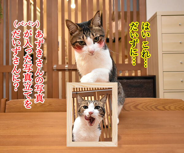 きょうは『恋人の日』なんですってッ 猫の写真で4コマ漫画 1コマ目ッ