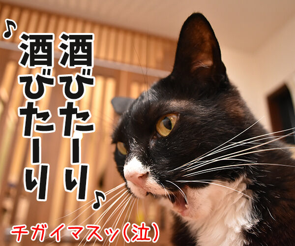 セキスイハイムのcmって知ってるかしら あずきさんとだいずさん Powered By ライブドアブログ セキスイハイムのcmって知ってるかしら あずきさんとだいずさん Powered By ライブドアブログ