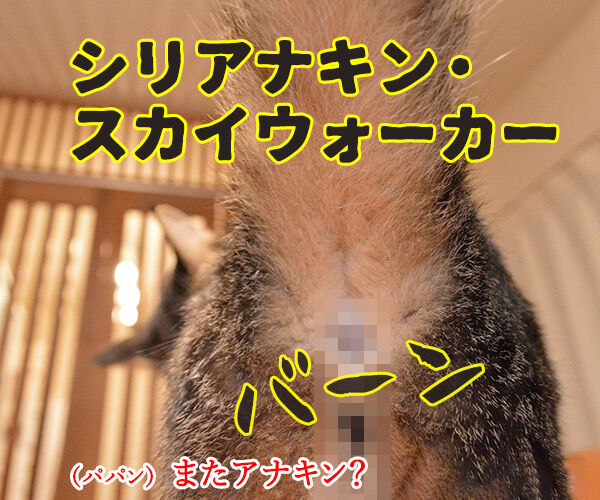 スター ウォーズでダジャレ4連発ッ あずきさんとだいずさん Powered By ライブドアブログ スター ウォーズでダジャレ4連発ッ あずきさんとだいずさん Powered By ライブドアブログ