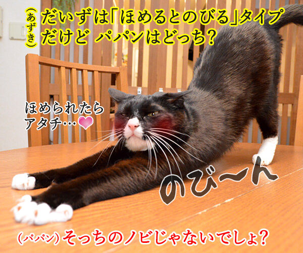 ほめると叱る のびるのはどっちかしら？　猫の写真で４コマ漫画　１コマ目ッ