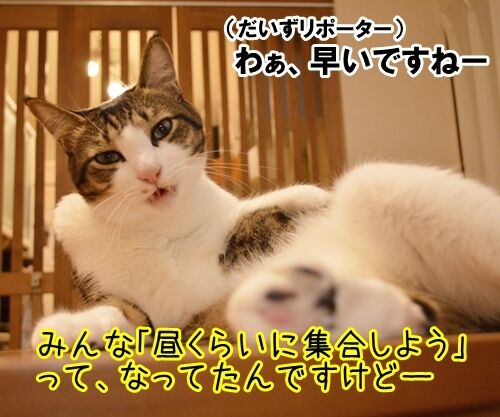 お花見リポーター　だいず　猫の写真で４コマ漫画　３コマ目ッ