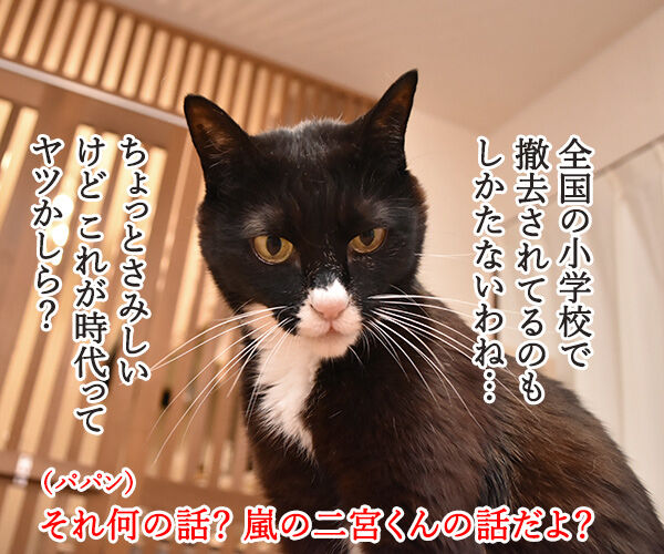 嵐の二宮くんが結婚して「ニノロス」なのッ 猫の写真で4コマ漫画 3コマ目ッ