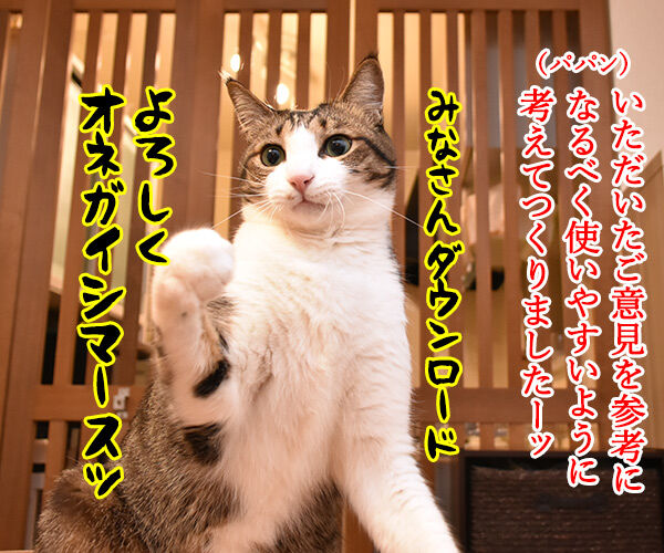 LINEスタンプの第二弾が販売されたのよッ 猫の写真で4コマ漫画 2コマ目ッ