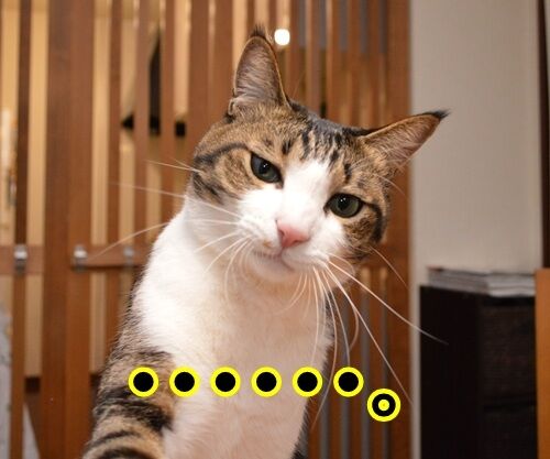 ためいきの理由 : あずきさんとだいずさん Powered by ライブドアブログ