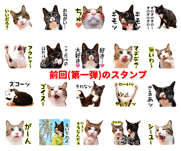 あずだいのLINEスタンプ 第二弾 猫の写真で4コマ漫画 6コマ目ッ