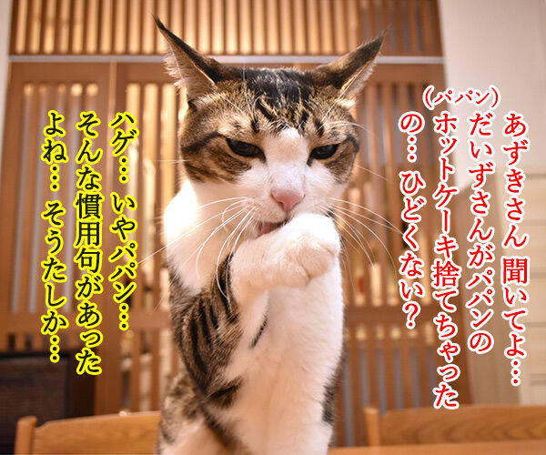 パパンのパンケーキがないのよッ　猫の写真で４コマ漫画　３コマ目ッ