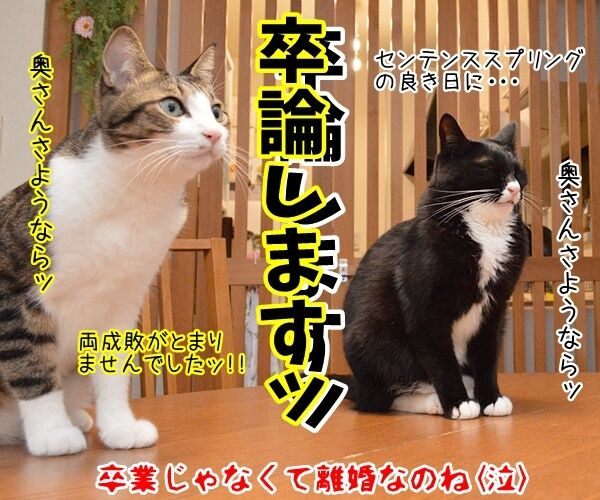 門出の言葉 僕たち わたしたちは あずきさんとだいずさん Powered By ライブドアブログ