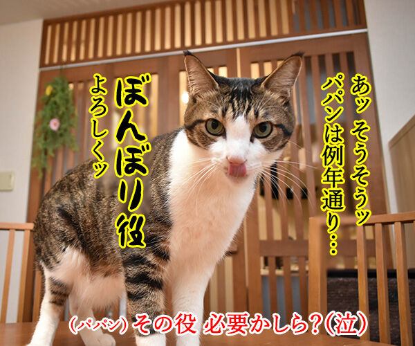 きょうはたのしいひな祭り　猫の写真で４コマ漫画　２コマ目ッ