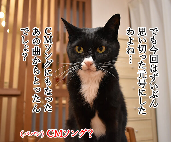 新元号は信玄GOなの? 猫の写真で4コマ漫画 3コマ目ッ