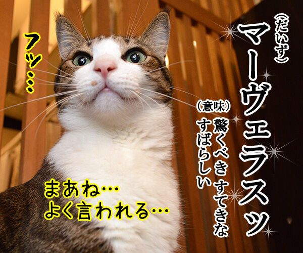 叶姉妹が言いそうな言葉でほめあうのよッ あずきさんとだいずさん Powered By ライブドアブログ 叶姉妹が言いそうな言葉でほめあうのよッ あずきさんとだいずさん Powered By ライブドアブログ
