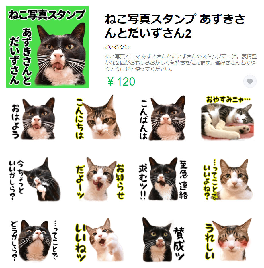 LINEスタンプの第二弾が販売されたのよッ　猫の写真で４コマ漫画　６コマ目ッ