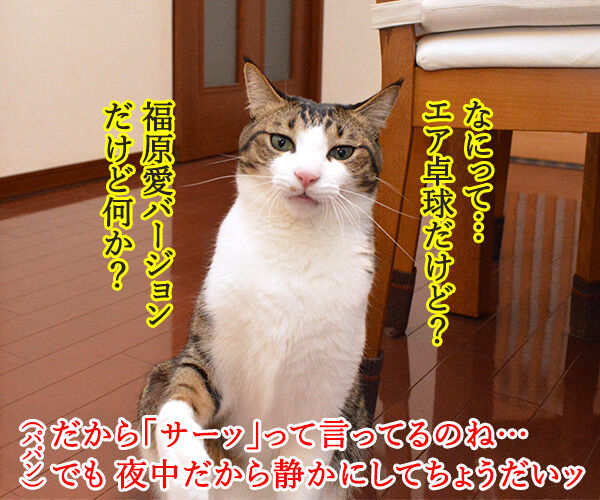 真夜中のエア○○ 猫の写真で4コマ漫画 3コマ目ッ