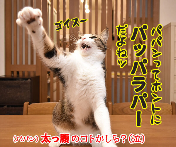 今年もあずだい年賀状を送っちゃうわよーッ 猫の写真で4コマ漫画 4コマ目ッ