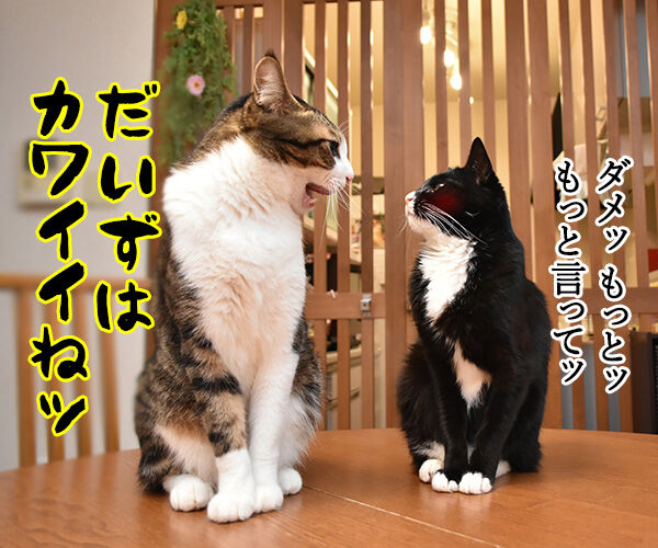 もっと もっと あずきさんとだいずさん Powered By ライブドアブログ もっと もっと あずきさんとだいずさん Powered By ライブドアブログ