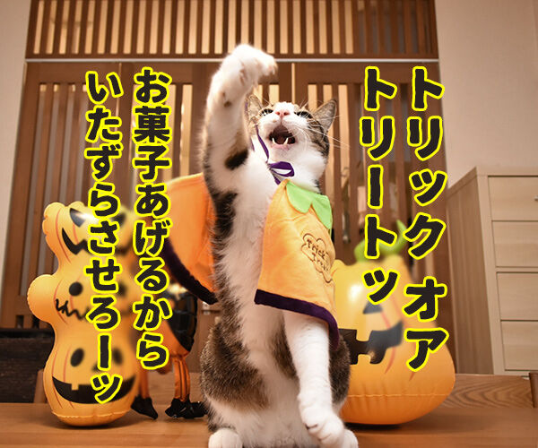 ハロウィン お菓子くれなきゃイタズラしちゃうぞッ あずき編 あずきさんとだいずさん Powered By ライブドアブログ