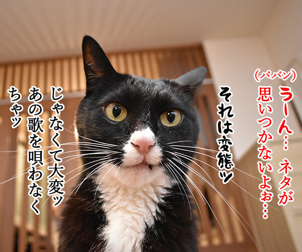 4コマのネタが思いつかない時は唄うのよッ あずきさんとだいずさん