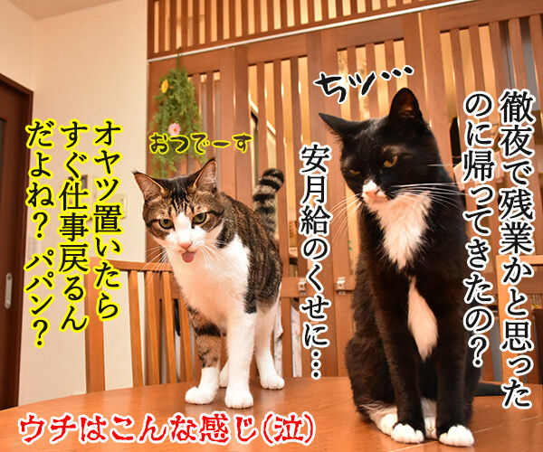 泣けちゃう漫画『おじさまと猫』って知ってる? 猫の写真で4コマ漫画 4コマ目ッ