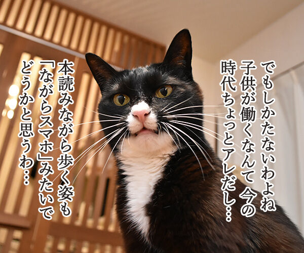 嵐の二宮くんが結婚して「ニノロス」なのッ 猫の写真で4コマ漫画 2コマ目ッ
