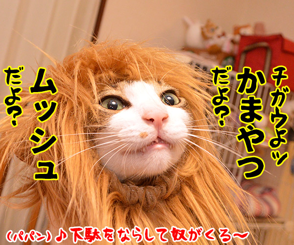 なりたい動物になれるクスリ あずきさんとだいずさん