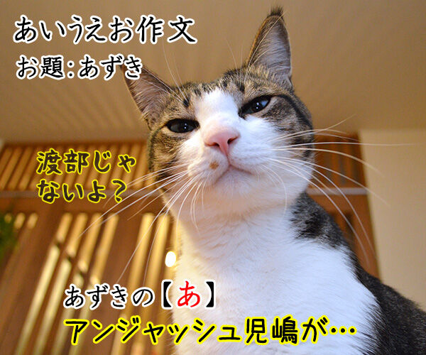 あいうえお作文 あずき編 あずきさんとだいずさん