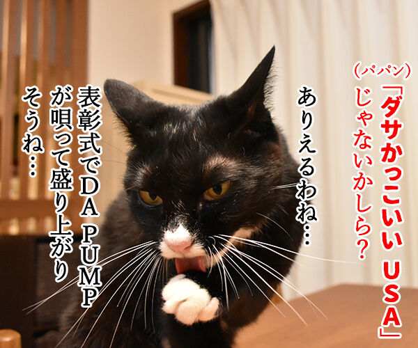 きょうは流行語大賞の発表日なのッ 猫の写真で4コマ漫画 2コマ目ッ
