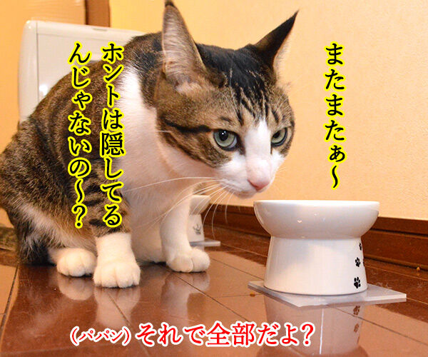 あずきさん ごはんだよぉー 猫の写真で4コマ漫画 3コマ目ッ