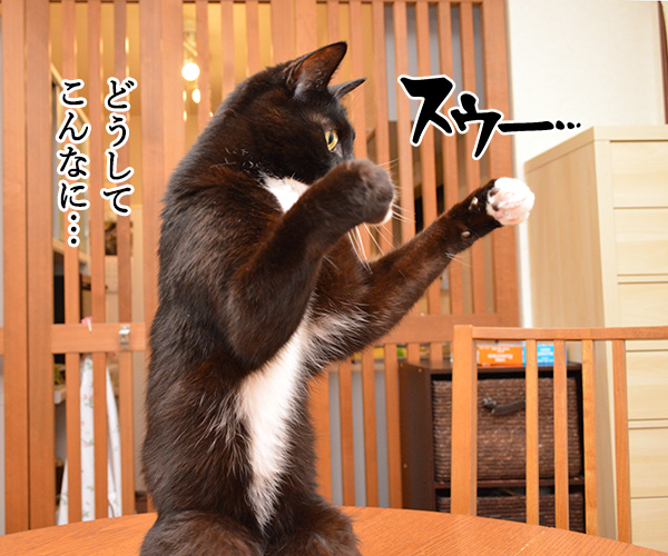 毎日暑いから 暑中お見舞い申し上げます　猫の写真で４コマ漫画　３コマ目ッ