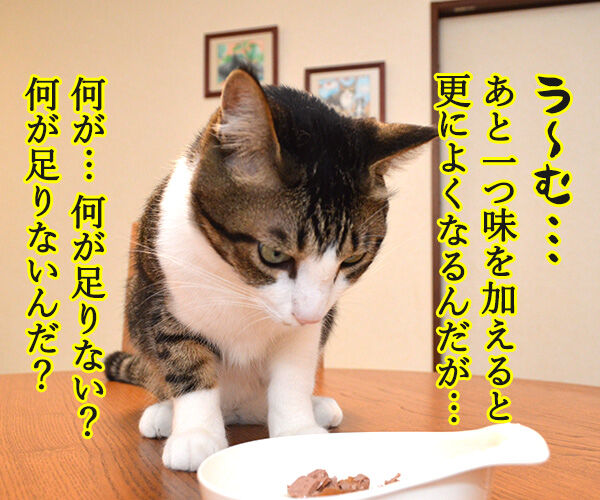先生、お味はいかがでしょうか? 猫の写真で4コマ漫画 3コマ目ッ